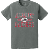 Allegheny Badgers Youth Heavyweight Ring Spun Tee